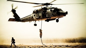 Movie poster: Black Hawk Down - 2002