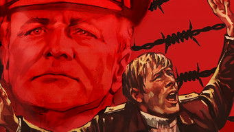 Movie poster: The McKenzie Break - 1970