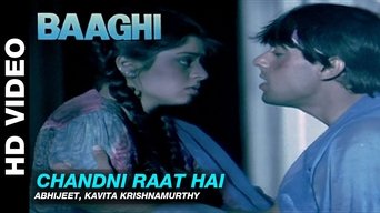 Baaghi