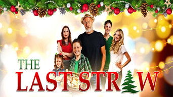 Movie poster: The Last Straw - 2014