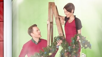 Movie poster: Window Wonderland - 2013