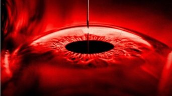 Movie poster: The Home - 2025