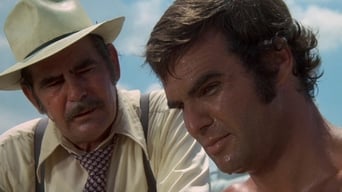 Movie poster: White Lightning - 1973