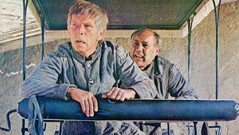 Movie poster: There Was a Crooked Man ... - 1970