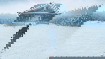 Movie poster: Dead of Winter - 2025