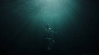 Movie poster: Invincible - 2022