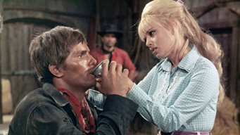 Movie poster: For a Few Extra Dollars - 1966