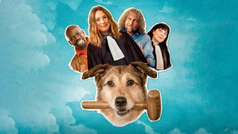 Le procès du chien