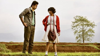 Barfi