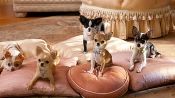 Movie poster: Beverly Hills Chihuahua 2 - 2011