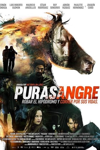 Movie: Purasangre
