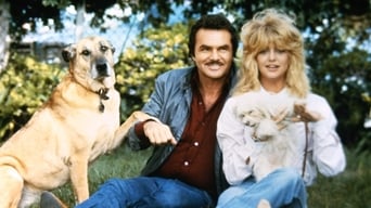 Movie poster: Best Friends - 1982