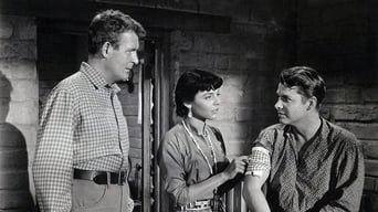 Movie poster: Walk the Proud Land - 1956