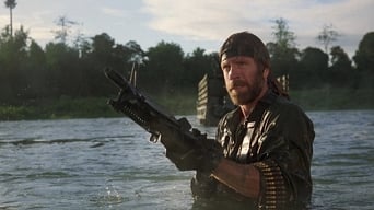 Movie poster: Missing in Action - 1984
