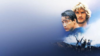 Gefährliche Brandung - Point Break