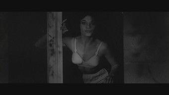 Movie poster: Curse of the Fly - 1965