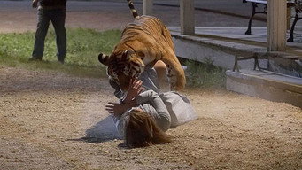 L'instinct du chasseur