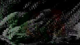 Movie poster: Appointment in Honduras - 1953