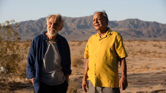 Cheech and Chong's Last Movie