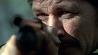 Movie poster: Violent City - 1973