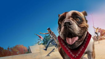 Movie poster: Sk8 Dawg - 2018