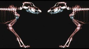 Movie poster: Rottweiler - 2004