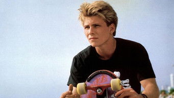 Movie poster: Gleaming the Cube - 1989