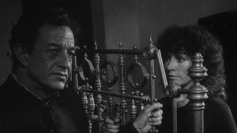 Movie poster: La viuda negra - 1983