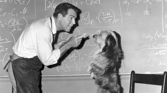 Movie poster: The Absent Minded Professor - 1961