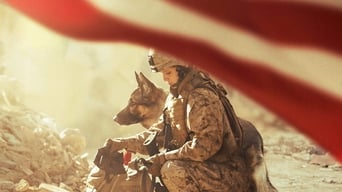 Movie poster: Megan Leavey - 2017