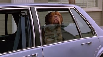 Movie poster: Turner & Hooch - 1989