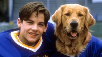 Movie poster: Air Bud: Golden Receiver - 1998