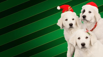 Movie poster: Santa Buddies - 2009