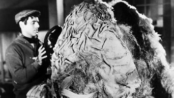 Movie poster: Little Shop of Horrors - 1960