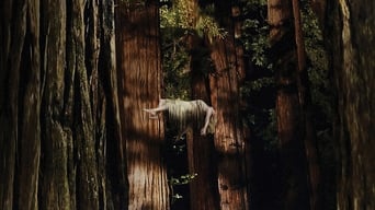 Movie poster: Woodshock - 2017