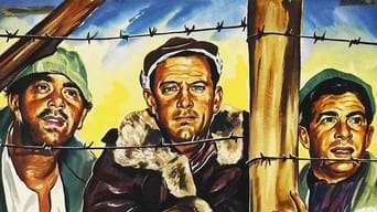 Movie poster: Stalag 17 - 1953