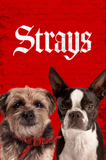 Movie: Strays