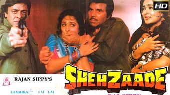 Movie: Shehzaade - 1992