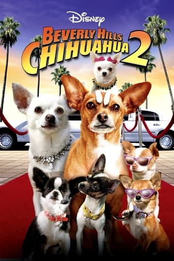 Movie: Beverly Hills Chihuahua 2