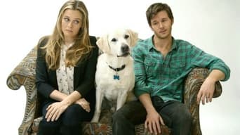 Movie poster: Who Gets the Dog? - 2016