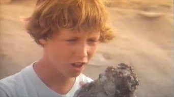 Movie poster: The Treasure - 1990