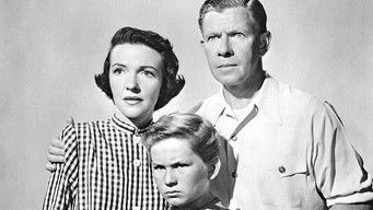 Movie poster: Talk About a Stranger - 1952