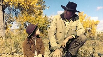 Movie poster: Shoot Out - 1971