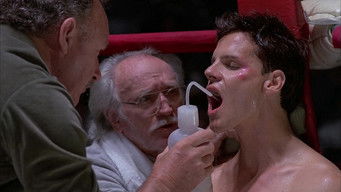 Movie poster: Split Decisions - 1988