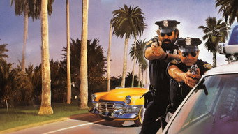 Dos súper policías en Miami