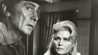 Movie poster: Buckskin - 1968