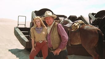 Movie poster: The Train Robbers - 1973