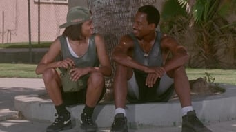 Movie poster: A Thin Line Between Love and Hate - 1996