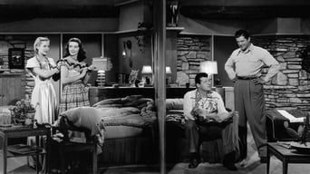 Movie poster: Two Guys from Texas - 1948