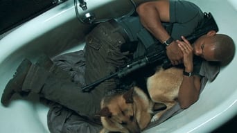 Movie: I Am Legend - 2009